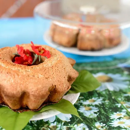 Alojamento de Acomodação e Pequeno-almoço Otium 3*