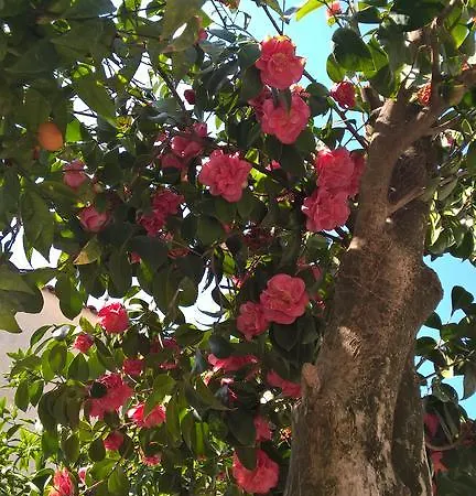 Otium Bed & Breakfast Pompeji