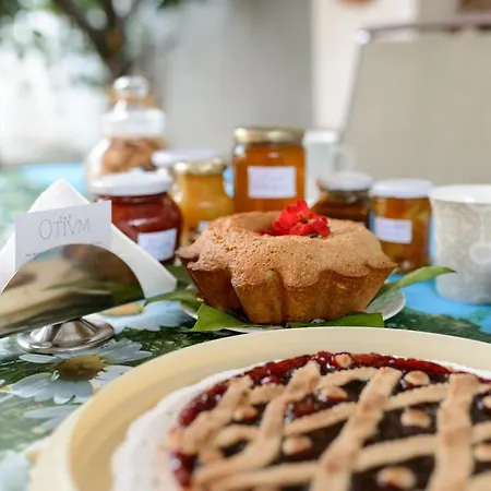 Otium Bed and breakfast Pompeya