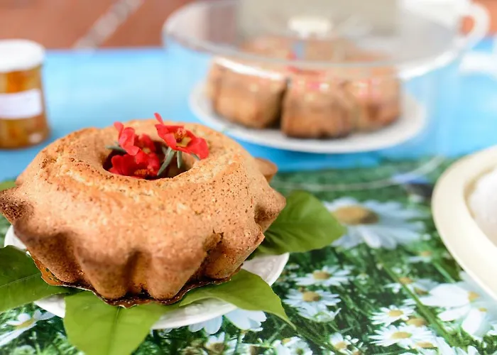 Bed & Breakfast Otium 3*